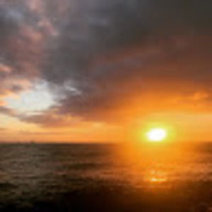 Meet your Posher, Elise